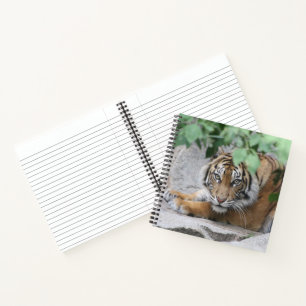 Tiger 008 notizbuch