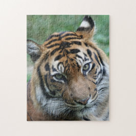 Tiger 012 puzzle