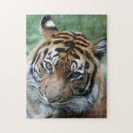 Tiger 013 puzzle