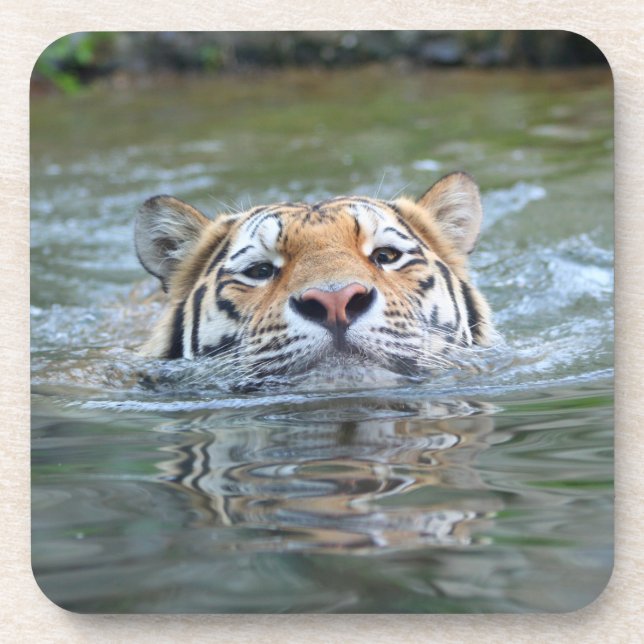 Tiger 028 getränkeuntersetzer (Vorderseite)