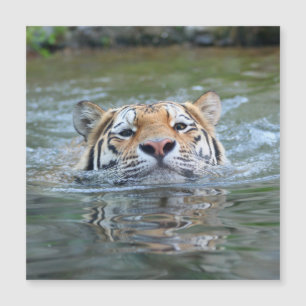 Tiger 028 magnetkarte