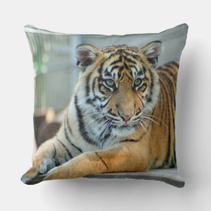 Tiger 034 kissen