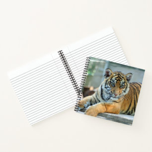 Tiger 034 notizbuch