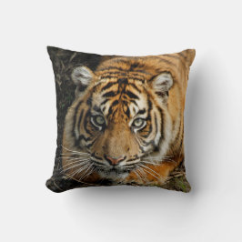 Tiger 037 kissen