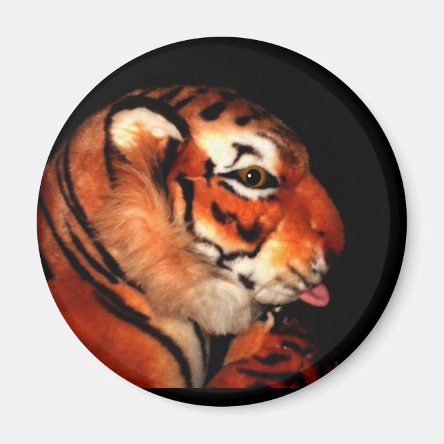 Tiger 1 A, Magnet (Vorne)