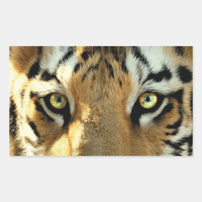 Tiger 1 - Aufkleber (Vorderseite)
