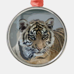 Tiger_2014_0901 Silbernes Ornament