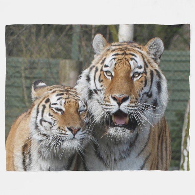 Tiger_2015_0401 Fleecedecke (Vorderseite (Horizontal))
