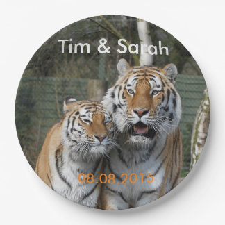 Tiger_2015_0401 + Hochzeitstag Pappteller