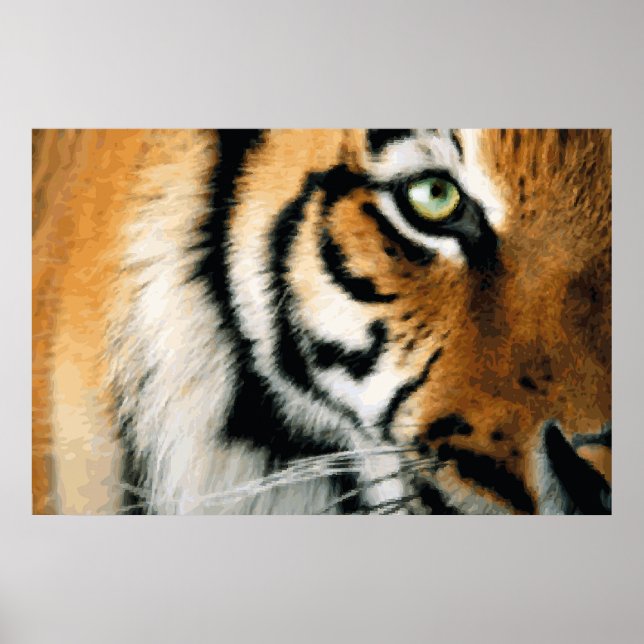 Tiger 2 - Poster (Vorne)