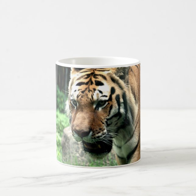 Tiger an der Bronx-Zoo-Tasse Kaffeetasse (Mittel)