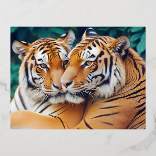 Tiger Animal Nature Wildlife Zuneigung Gekümmert Folien Feiertagspostkarte
