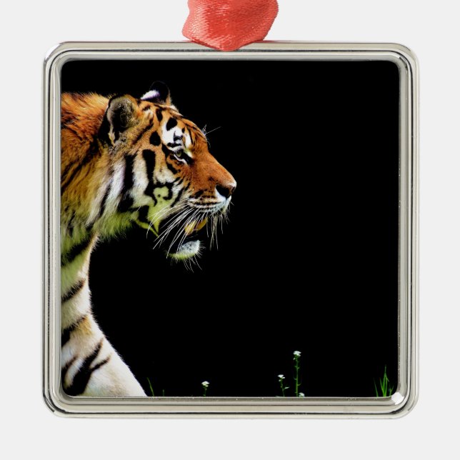 Tiger Approaching - Wildtierarbeiten Silbernes Ornament (Vorne)