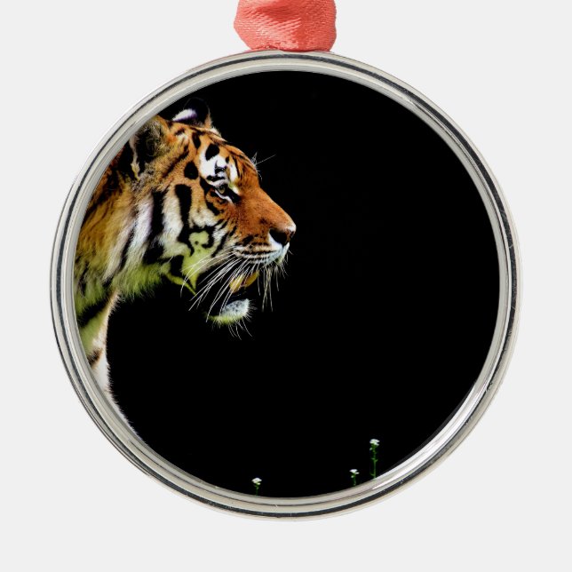 Tiger Approaching - Wildtierarbeiten Silbernes Ornament (Vorne)