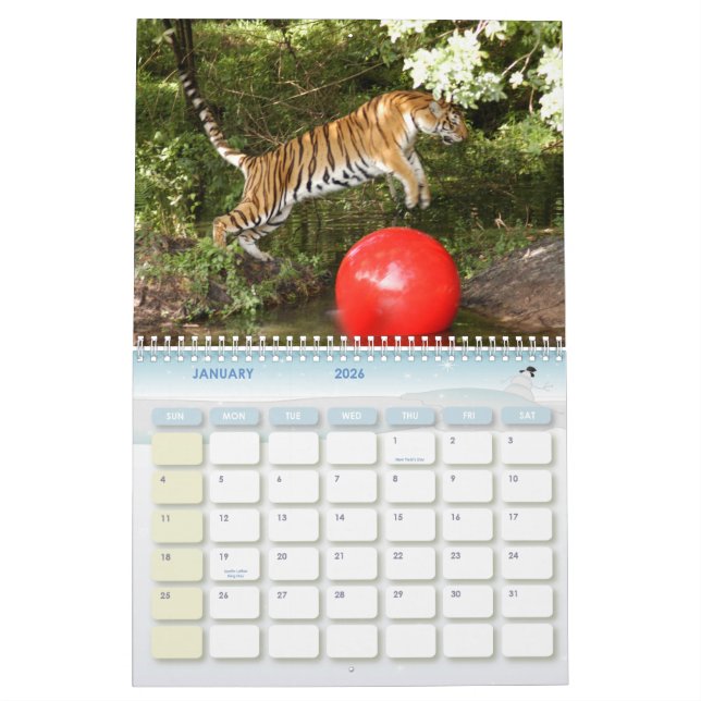Tiger_Aroara012, Tiger Auroara Kalender (Jan 2026)