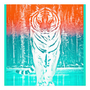 Tiger Art Print Fotodruck