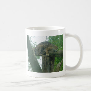 Tiger auf Bäumen, Wald, Natur, wild lebende Tiere Kaffeetasse