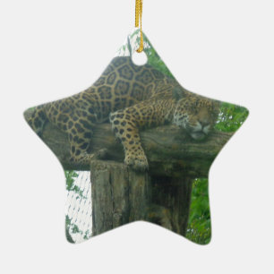 Tiger auf Bäumen, Wald, Natur, wild lebende Tiere Keramikornament