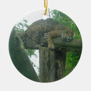 Tiger auf Bäumen, Wald, Natur, wild lebende Tiere Keramikornament