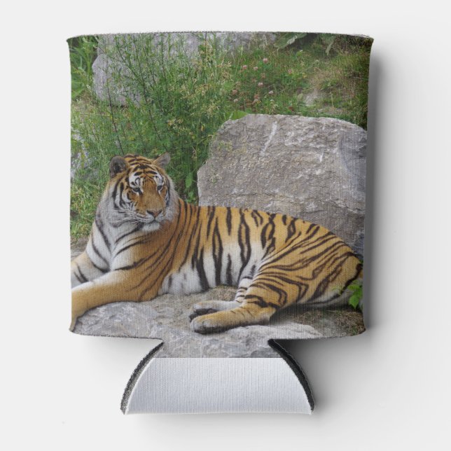 Tiger auf einem Felsen Dosenkühler (Vorderseite)