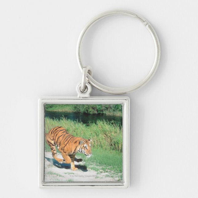 Tiger auf Weg Schlüsselanhänger (Vorne)