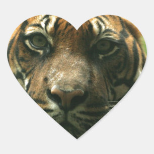 Tiger-Aufkleber Herz-Aufkleber