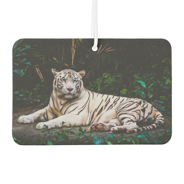 Tiger Autolufterfrischer (Vorderseite)