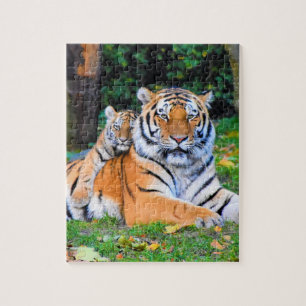 Tiger & Baby Posing Schöne Rasenmischung Puzzle