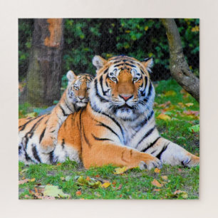 Tiger & Baby Posing Schöne Rasenmischung Puzzle