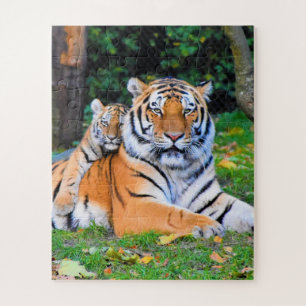 Tiger & Baby Posing Schöne Rasenmischung Puzzle