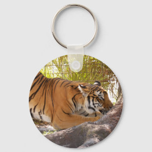 Tiger Bengali Schlüsselanhänger