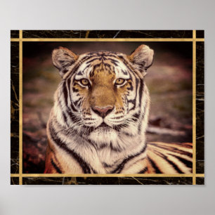 Tiger Big Cat Foto Image Print Poster