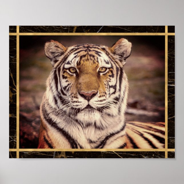 Tiger Big Cat Foto Image Print Poster (Vorne)