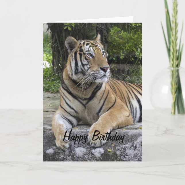 Tiger Blank Birthday Card Karte (Vorderseite)