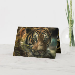 TIGER BODEN ZERO KARTE