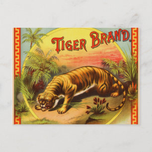Tiger Brand 1900 Postkarte