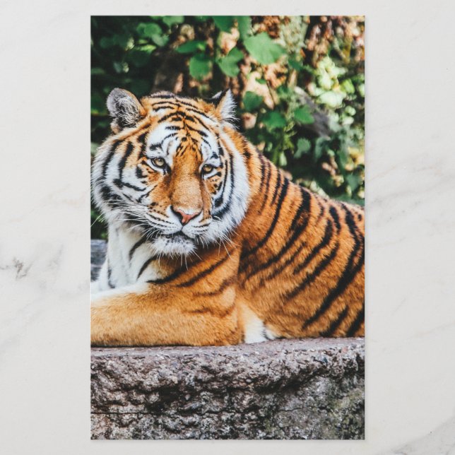 Tiger Briefpapier (Vorderseite)