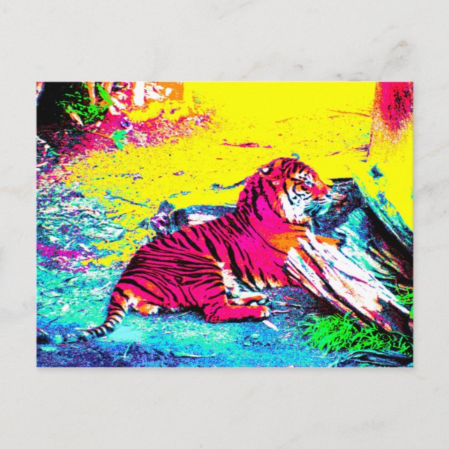Tiger Bright Postkarte (Vorderseite)