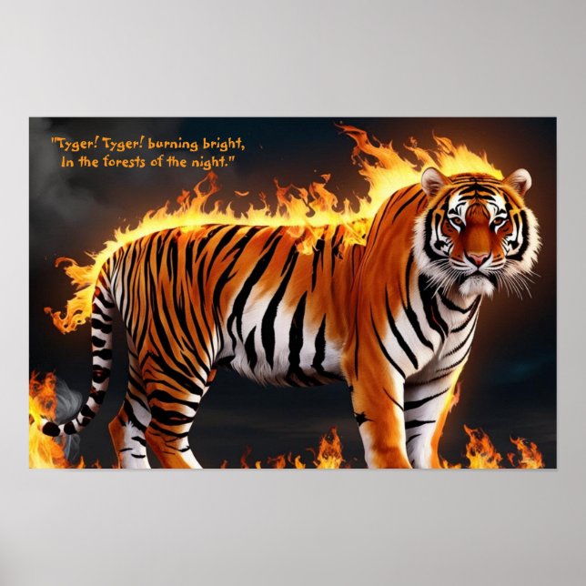 Tiger Burning Poster (Vorne)