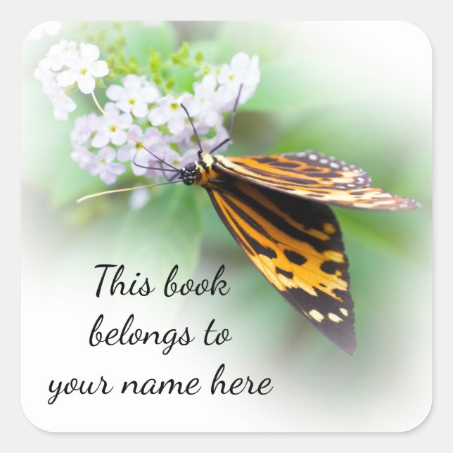 Tiger Butterfly "Dieses Buch gehört" Aufkleber (Vorderseite)