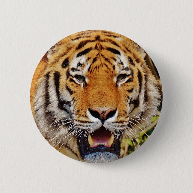Tiger Button (Vorderseite)