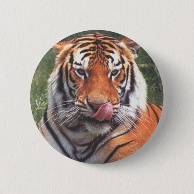 Tiger Button (Vorderseite)