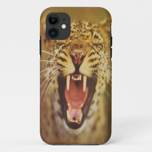 TIGER iPhone 11 HÜLLE