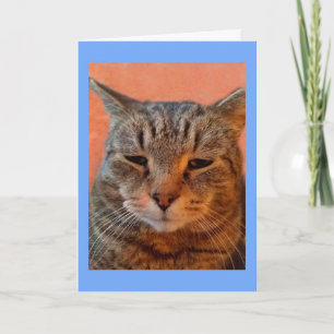 Tiger Cat Miss You Karte