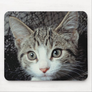Tiger Cat Mousepad
