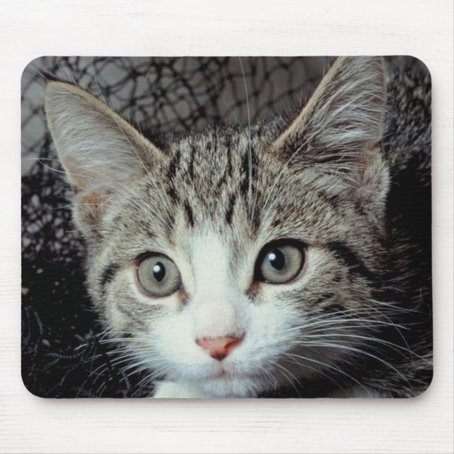 Tiger Cat Mousepad (Vorne)