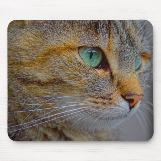 Tiger Cat Portrait Mousepad (Vorne)