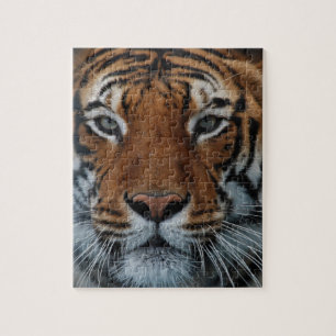 Tiger Cat Stripes Jungle Mist Animal Puzzle