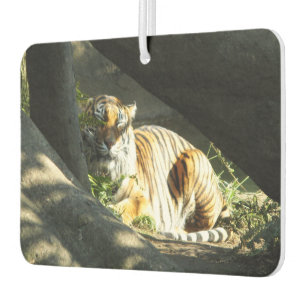 Tiger Catnap Autolufterfrischer