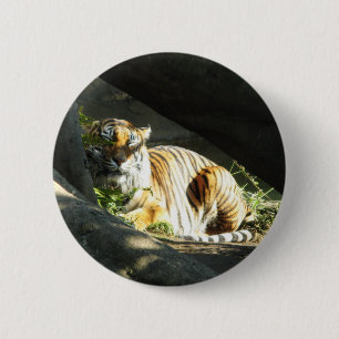 Tiger Catnap Button